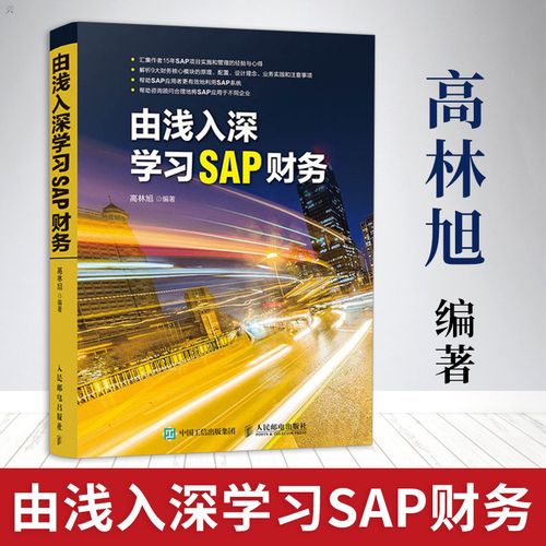 sap财务管理 sap原理操作配置设计理念业务实践sap系统财务分析 企业